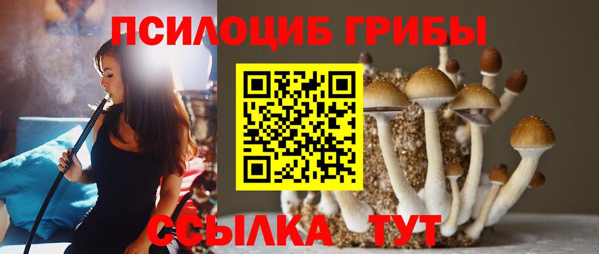 Галлюциногенные грибы мухоморы  Вход с VPN  Ижевск  Галлюциногенные грибы ЛСД 